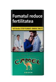 CAMEL GREEN